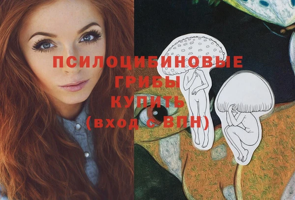 прущие крисы Алексеевка