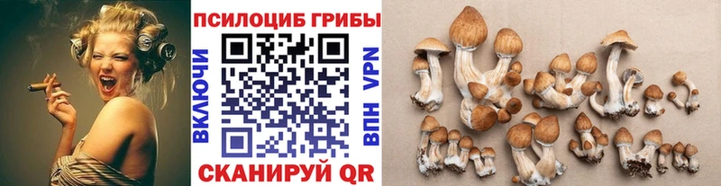 Галлюциногенные грибы Psilocybine cubensis  купить закладку  Еманжелинск 